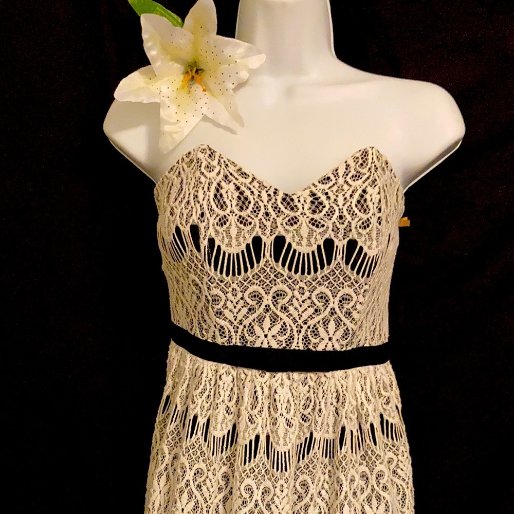 Finn & clover medium strapless dress